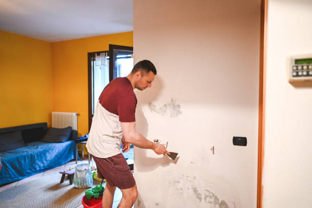 Best Commercial Mold Remediation in Virden, IL